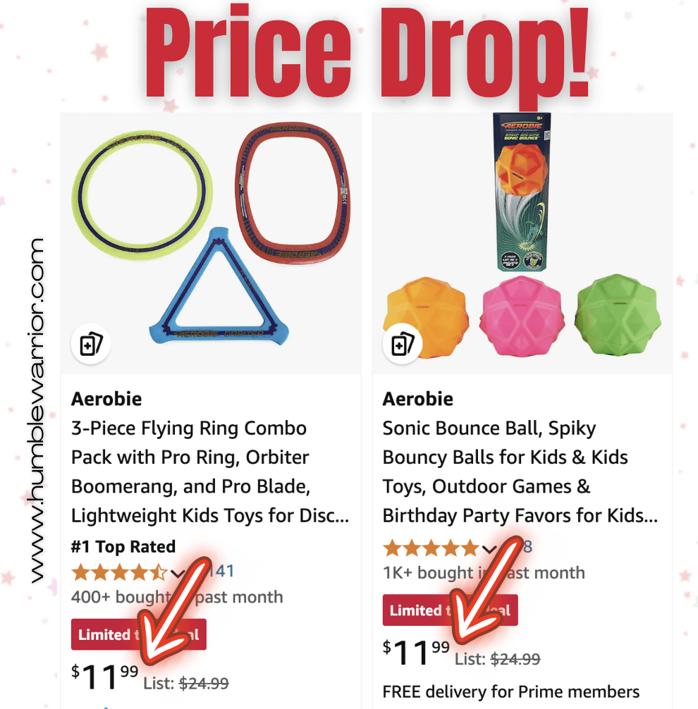Aerobie flying rings and bouncing balls!